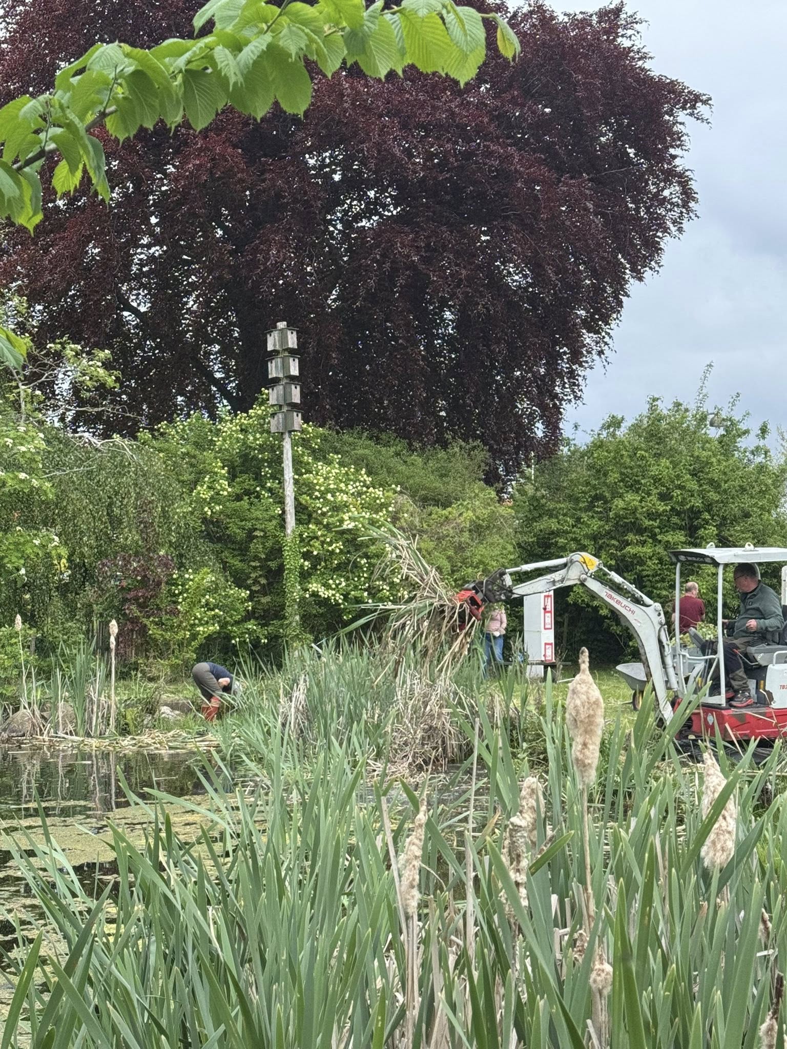 Arbejdsdag for byens grønne oaser